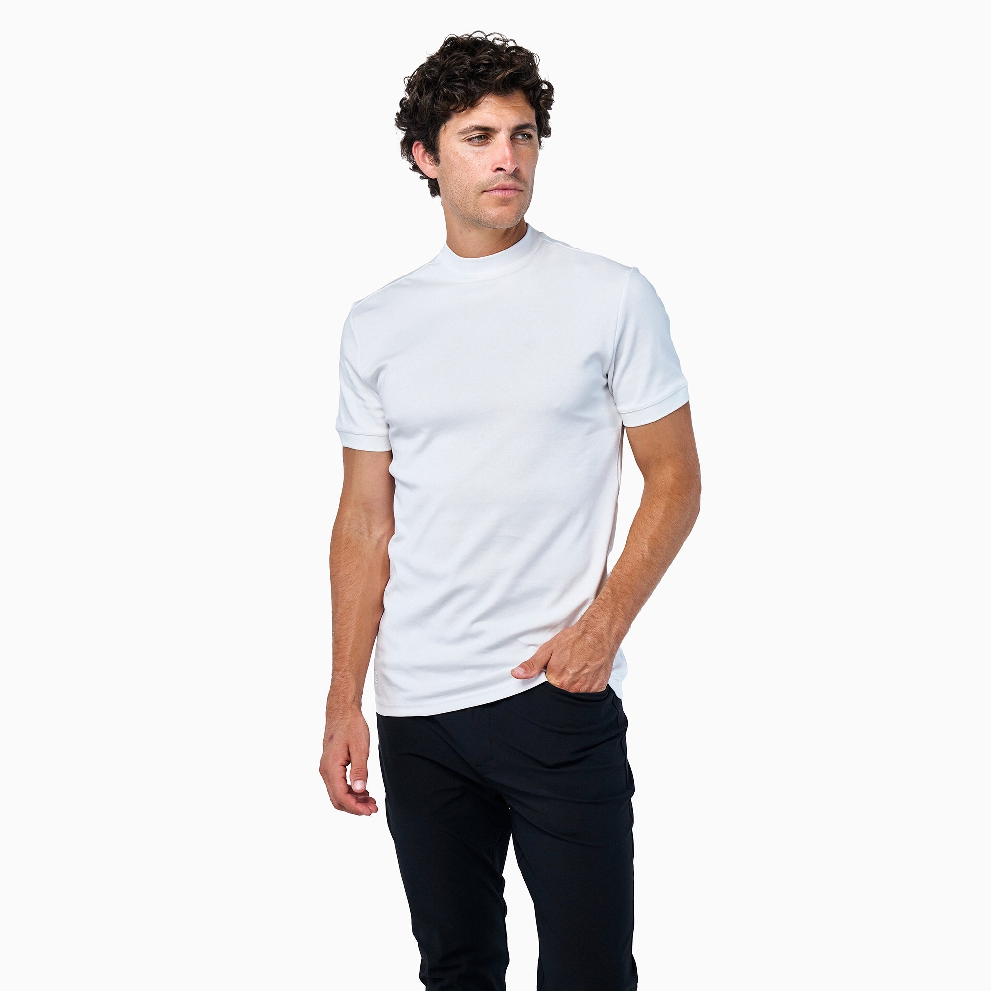 A single green leaf against a white background.